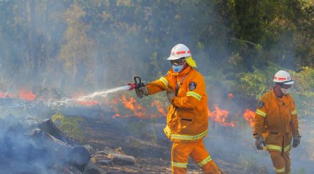 bush fire fighter